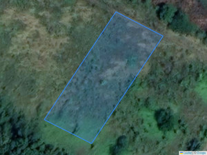 Agricultural land 1345 m², Fundul Galbenei, r-ul Hâncești, ID: 11