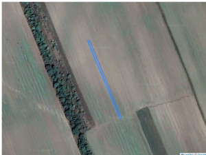 Agricultural land 559 m², Cupcui, r-ul Leova, ID: 19