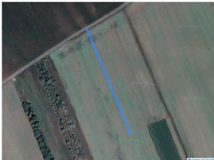 Agricultural land 512 m², Cupcui, r-ul Leova, ID: 20