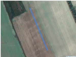 Agricultural land 727 m², Cupcui, r-ul Leova, ID: 23