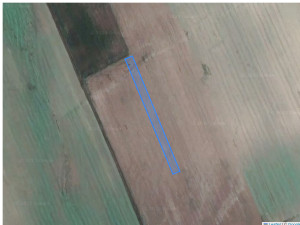 Agricultural land 1465 m², Cupcui, r-ul Leova, ID: 24