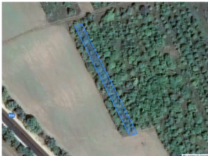 Agricultural land 738 m², Cupcui, r-ul Leova, ID: 26