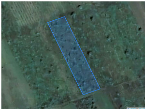 Agricultural land 2349 m², Cupcui, r-ul Leova, ID: 29