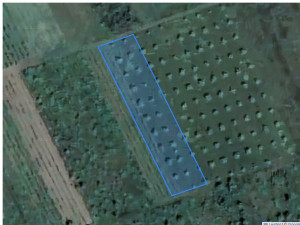 Agricultural land 2347 m², Cupcui, r-ul Leova, ID: 31