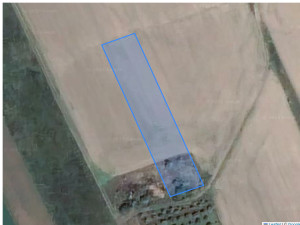 Agricultural land 2214 m², Cupcui, r-ul Leova, ID: 33