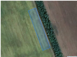 Agricultural land 2004 m², Cupcui, r-ul Leova, ID: 35