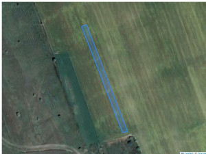 Agricultural land 1944 m², Cupcui, r-ul Leova, ID: 36