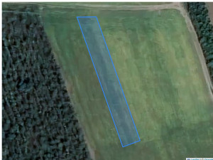 Agricultural land 1869 m², Cupcui, r-ul Leova, ID: 39