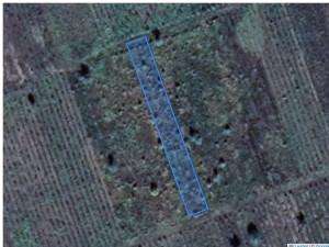 Agricultural land 1175 m², Cupcui, r-ul Leova, ID: 40