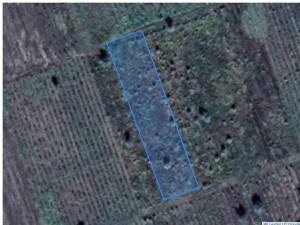 Agricultural land 2351 m², Cupcui, r-ul Leova, ID: 41