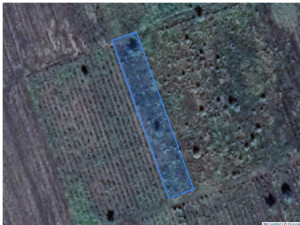 Agricultural land 1672 m², Cupcui, r-ul Leova, ID: 42