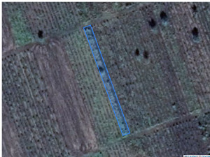 Agricultural land 678 m², Cupcui, r-ul Leova, ID: 43