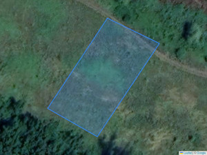 Agricultural land 1242 m², Fundul Galbenei, r-ul Hâncești, ID: 6