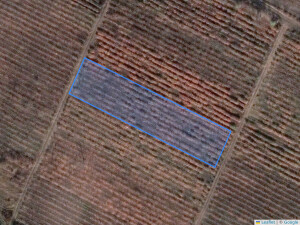 Agricultural land 2403 m², Durlești, Mun. Chișinău, ID: 70